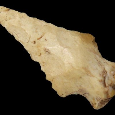 Sale Photo Thumbnail #843: Nice Bolen Bevel found in Southern Georgia, Indian Arrowhead, Artifact.