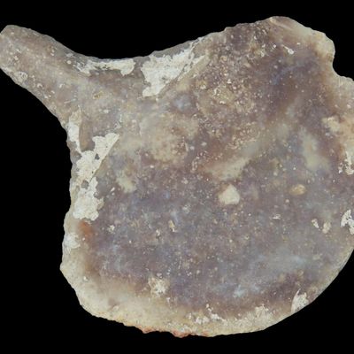 Sale Photo Thumbnail #965: 2 3/4" Texas Paddle Drill found in Bandera County TX. Indian Arrowhead, Artifact.