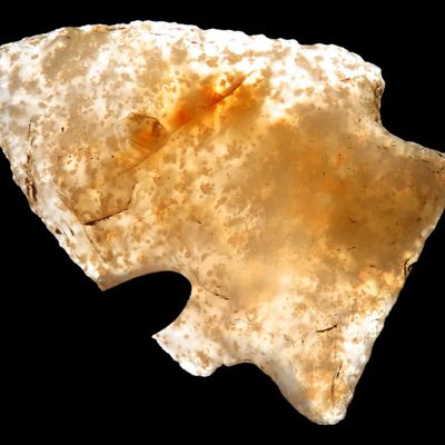 Sale Photo Thumbnail #93: Incredible Florida Agate Kirk Corner Notch found in Pasco County, FL. Highly Translucent. Ex Brian Boles Collection. Deep South Arrowhead.
