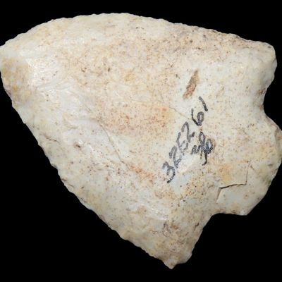 Sale Photo Thumbnail #189: Amazing 1 7/8" Florida Marion found in Pasco County, FL. Ex Brian Boles Collection. Deep South Arrowhead.