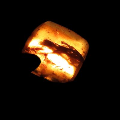 Sale Photo Thumbnail #567: Fossil Amber with Multiple Encased Insects, Great Specimen with Easily Visible Bugs. 100 Million Years Old, from the Hukawng Valley, Burma-Myanmar. Burnite. Burmese Amber.