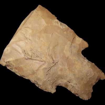 Sale Photo Thumbnail #648: MASSIVE Pedernales Spear / Knife Heartbreaker, Uvalde County Texas. 3 3/8" by 2 3/8" Wide. Would have been over 8" if Complete. By far the largest Example I have seen!