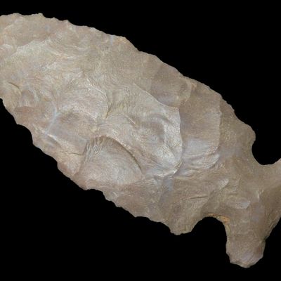 Sale Photo Thumbnail #274: Amazing 2 5/8" Big Sandy found in Logan County Kentucky. Nicely flaked example, thin and well patianted.