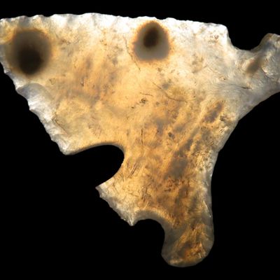 Sale Photo Thumbnail #34: Phenomenal Translucent Hardaway found in Ashe Co. North Carolina. Ex Frank Alexander Collection. Absolutely amazing example! Highly Translucent Chalcedony, Impeccable flaking. Nice scattered Iron deposits!