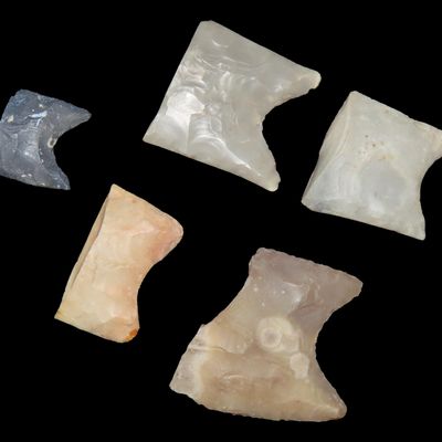 Sale Photo Thumbnail #164: Amazing Lot of Texas Paleo Clovis Bases found in Gillespie & Kerr Counties. Several Clovis, One may be a Barber, and the small one might be a Folsom. Great examples!