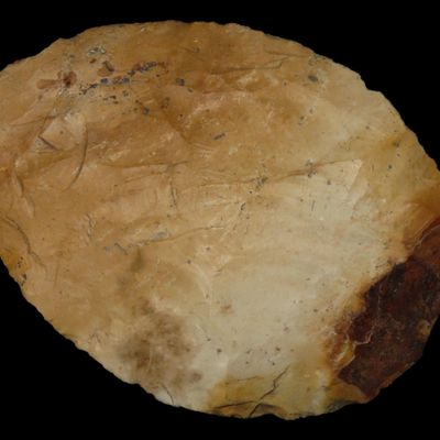 Sale Photo Thumbnail #77: BigColorful 4 1/8" Florida early Paleo-Archaic Blade found in Hillsborough County, FL. Ex Brian Boles Collection. Deep South Arrowhead.