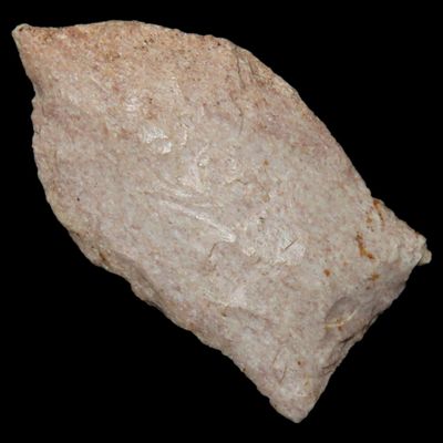 Sale Photo Thumbnail #223: Nice Paleo Dart / Beaver lake found in Meade County kemtucky. Nice flaking.