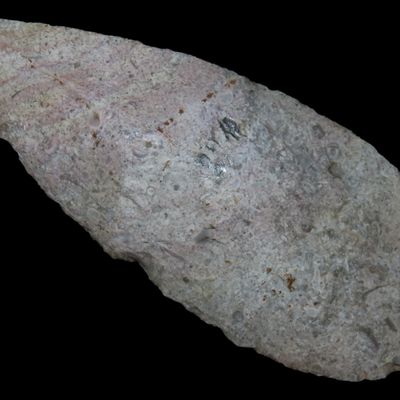 Sale Photo Thumbnail #113: Huge 5 7/8" Archaic Knife Blade found in Southern Missouri. Well patinated with nice color! Nice large Example!