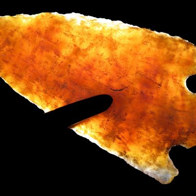 Sale Photo Thumbnail #61: Highly Translucent 2 7/8" Florida Candy Coral Kirk Corner Notch found in Pinellas County Fl. Ex Brian Boles Collection. Deep South Arrowhead.
