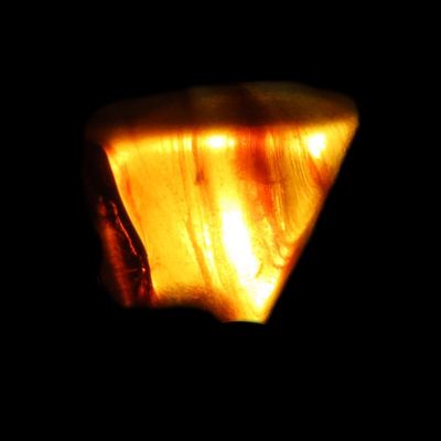 Sale Photo Thumbnail #591: Fossil Amber with Encased Insect, Great Specimen with Easily Visible Bug. 100 Million Years Old, from the Hukawng Valley, Burma-Myanmar. Burnite. Burmese Amber.
