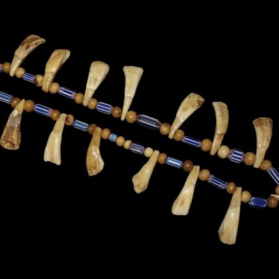 Sale Photo Thumbnail #298: 25" Plains Indian Drilled Buffalo Tooth Necklace with Chevron Trade Beads.