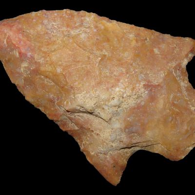Sale Photo Thumbnail #125: Colorful 2 3/8" Florida Cypress Creek found in Pasco County, FL. Ex Brian Boles Collection. Deep South Arrowhead. Great Color!