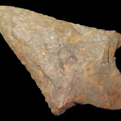 Sale Photo Thumbnail #229: Fine Florida Weeden Island / Putnam found in Pasco County, FL. Very thin and well flaked. Ex Brian Boles Collection. Deep South Arrowhead.
