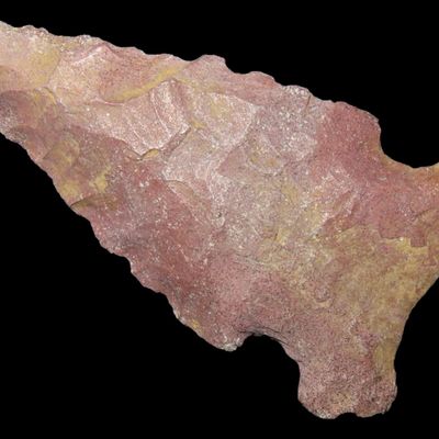 Sale Photo Thumbnail #133: Colorful Florida Bolen Bevel found in Madison County, FL. Ex Brian Boles Collection. Deep South Arrowhead.