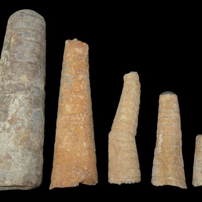 Sale Photo Thumbnail #475: Lot of Very Large Orthoceras Cephalopod Fossils, Great Examples!