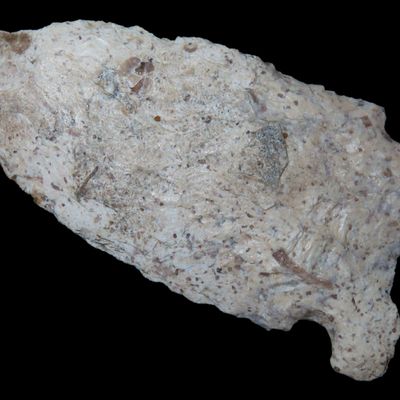 Sale Photo Thumbnail #95: Nice 3" Graham Cave found in Southern Missouri. Ex Joey Ellis Collection. Indian Arrowhead, Knife, Spear.