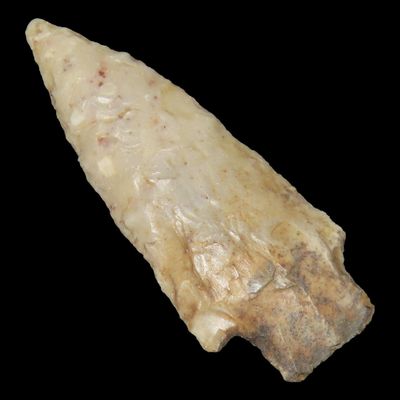 Sale Photo Thumbnail #880: Well Flaked Florida Kirk found in Hernando County FL. Indian Arrowhead, Artifact.