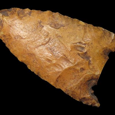 Sale Photo Thumbnail #29: 2 1/2" Florida River Stained Kirk Snap Base found in Hernando County, FL. Beautiful Water Stain Patina. Ex Brian Boles Collection. Deep South Arrowhead.