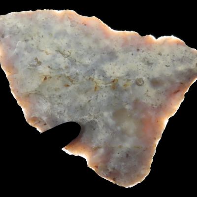 Sale Photo Thumbnail #269: Colorful Florida Paleo Simpson / Suwanee Clovis Knife found in Pinellas County, FL. Ex Brian Boles Collection. Deep South Arrowhead.
