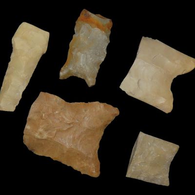 Sale Photo Thumbnail #236: Great Lot of Texas Paleo Bases found in Gillespie & Kerr Counties. Clovis, Golindrina, Dalton, etc. Great examples!