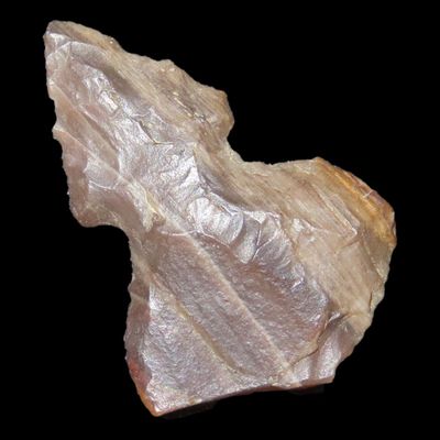 Sale Photo Thumbnail #314: Unique Translucent Petrified / Agatized Wood Bird Point found in NE Colorado. Colorful Gem Point, Eccentric Arrowhead.