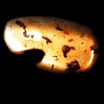 Sale Photo Thumbnail #599: Fossil Amber with Encased Insect, Great Specimen with Easily Visible Bug. 100 Million Years Old, from the Hukawng Valley, Burma-Myanmar. Burnite. Burmese Amber.