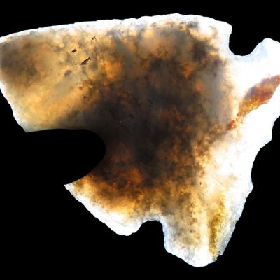 Sale Photo Thumbnail #71: Incredible Translucent Bird Point found in Arkansas. Beautiful well flaked example with amazing color. Ex Joey Ellis Collection.