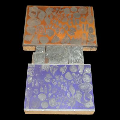 Sale Photo Thumbnail #708: Lot of 6 Antique Printing Plates with Shells & Fossils, etc. Used in one of Rev. Heike's Books.