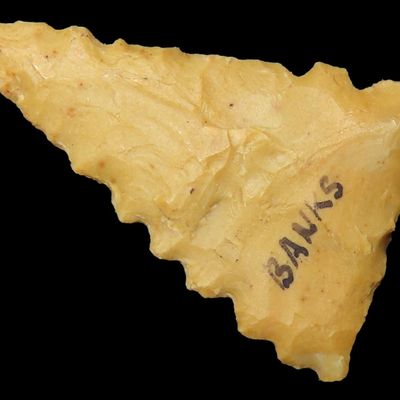 Sale Photo Thumbnail #39: Amazing Serrated Mississippian Triangle found in Bradley County Arkansas. Ex Joey Ellis Collection. Fort Ancient.