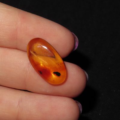 Sale Photo Thumbnail #479: Fossil Amber with Encased Insect, Great Specimen with Easily Visible Bug. 100 Million Years Old, from the Hukawng Valley, Burma-Myanmar. Burnite. Burmese Amber.