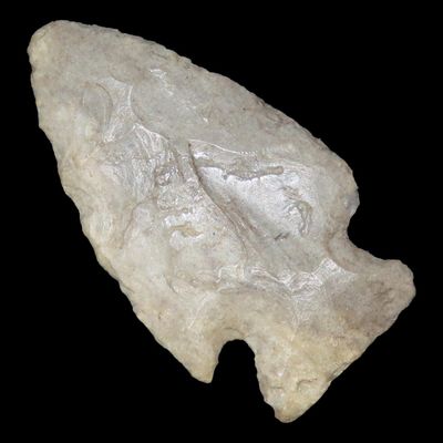 Sale Photo Thumbnail #362: Indiana Green Jacks Reef found in Vigo County Indiana. Colorful piece of Attica Chert.
