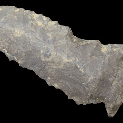 Sale Photo Thumbnail #225: 2 3/4" Pinetree found in Logan County Kentucky.