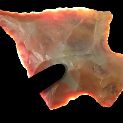 Sale Photo Thumbnail #25: Colorful Perkiomen / Ashtabula found in Beaver County Pennsylvania. Beautiful Red, Orange & Grey Jasper or possibly Flint Ridge. Amazing example!