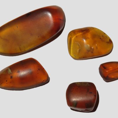 Sale Photo Thumbnail #551: Lot of Fossil Amber, some with small bugs or partial bugs that were partially eaten by another insect. 100 Million Years Old, from the Hukawng Valley, Burma-Myanmar. Burnite. Burmese Amber.