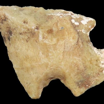 Sale Photo Thumbnail #618: Nice Texas Birdpoint found in Bandera County TX. Bird Point, Arrowhead, Artifact.