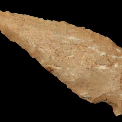 Sale Photo Thumbnail #554: 2 7/16" Serratede Boggy Branch found in Northern Alabama. Indian Arrowhead, Artifact.