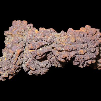 Sale Photo Thumbnail #537: Large Dinosaur Poop Fossil, Coprolite, Appr. 100 Million Years old Fossilized Dino Dung, Great Well Formed Example!