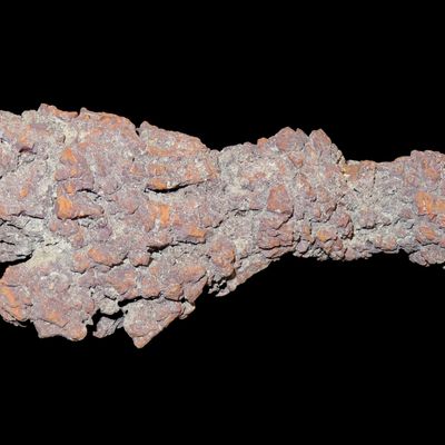 Sale Photo Thumbnail #505: Large Dinosaur Poop Fossil, Coprolite, Appr. 100 Million Years old Fossilized Dino Dung, Great Well Formed Example!