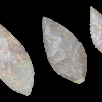 Sale Photo Thumbnail #892: Nice lot of Higher Grade African Neolithic Bipoint Willowleaf Blades / Arrowheads, Africa. Once Super Thin Serrated example, Translucent. Nodena.