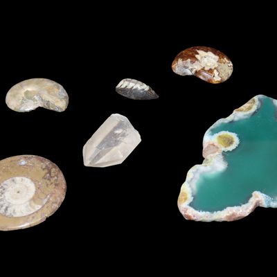 Sale Photo Thumbnail #840: Nice Group Lot of Fossils & Minerals, Orthoceras, Agate Slice, Crystal Quartz, and several different Ammonites