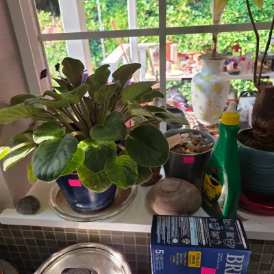 Sale Photo Thumbnail #681