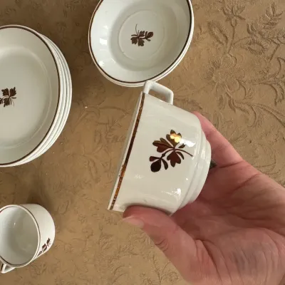 Copper 'Tea Leaf' Ironstone Set (~12 pcs)