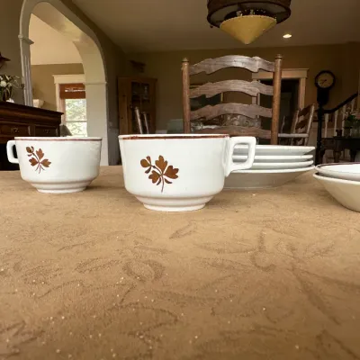Copper 'Tea Leaf' Ironstone Set (~12 pcs)