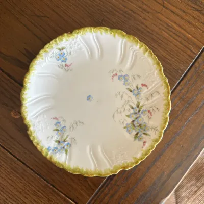 Altrohlau Austria Forget-Me-Not Plates (Set of ~10)