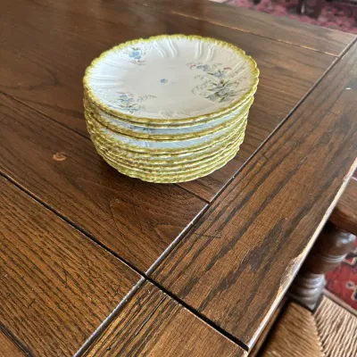 Altrohlau Austria Forget-Me-Not Plates (Set of ~10)