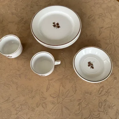 Copper 'Tea Leaf' Ironstone Set (~12 pcs)