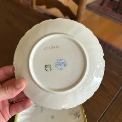 Altrohlau Austria Forget-Me-Not Plates (Set of ~10)