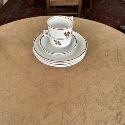Copper 'Tea Leaf' Ironstone Set (~12 pcs)