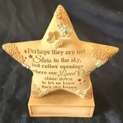 Pavilion Gift Company “Stars in the Sky” Memorial Star Plaque