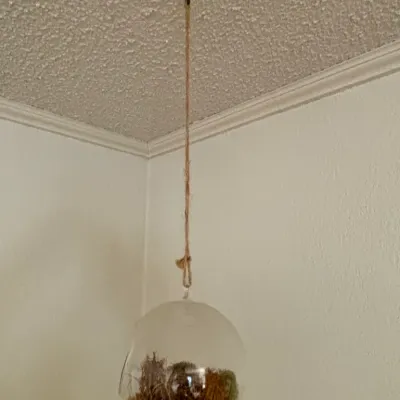 Sale Photo Thumbnail #71